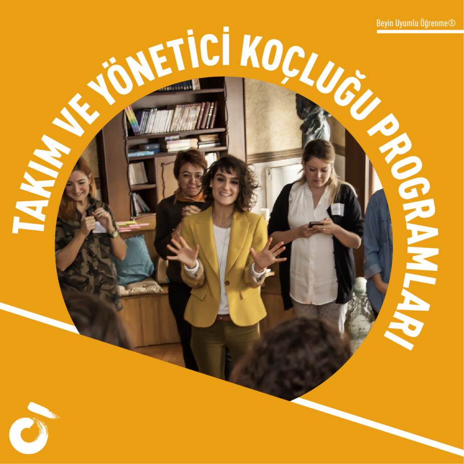 Takım ve Yönetici Koçluğu Programları